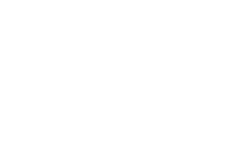 Me Viu Mentiu
